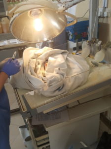 Shirati Hospital maternity