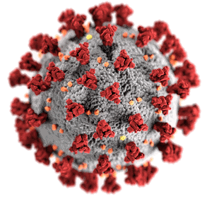 Coronavirus model