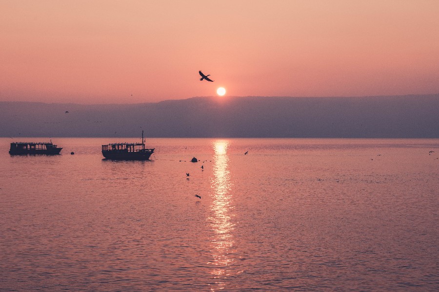 Two boats float on the Sea of Galilee in Israel at Sunset, a bird flies over the orange sun